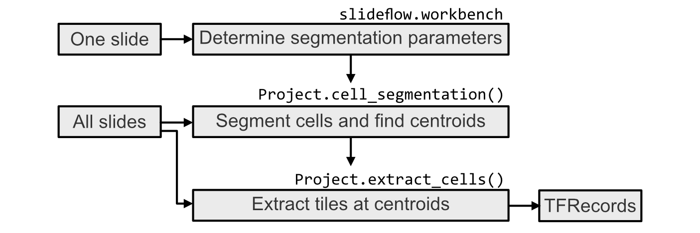 ../_images/cell_segmentation.png